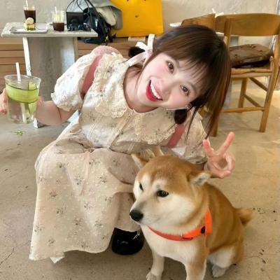 老师的善意谎言海报