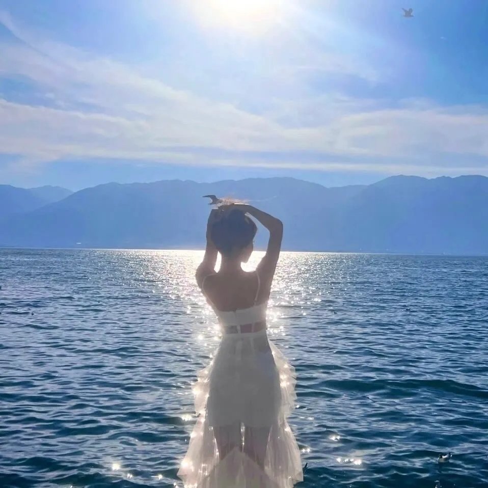 弗雷达海报